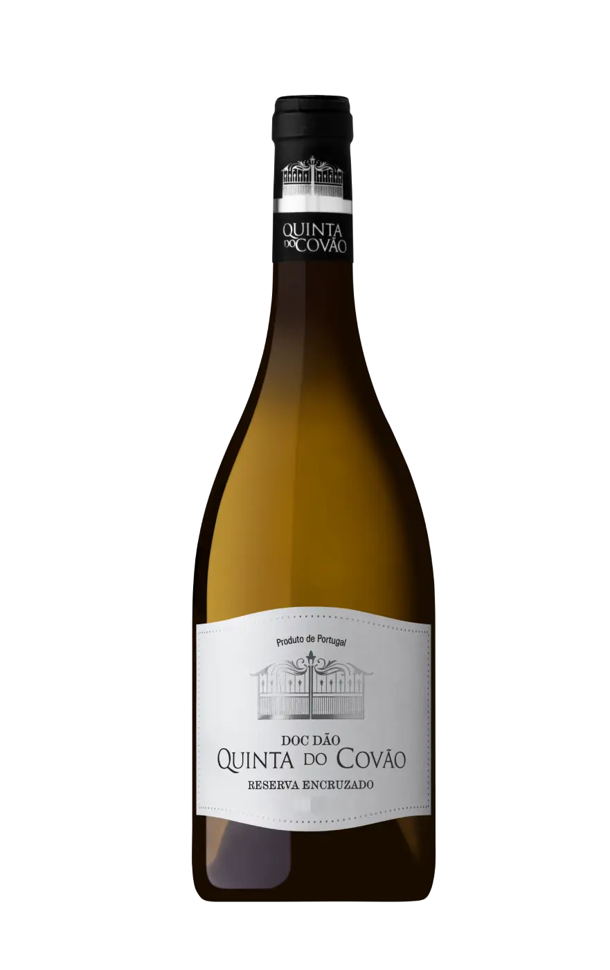 Quinta do Covão Reserva Branco, Quinta do Covão Encruzado, Covão Vinho Branco, Quinta do Covão Vinho Branco Quinta do Covão Branco Reserva