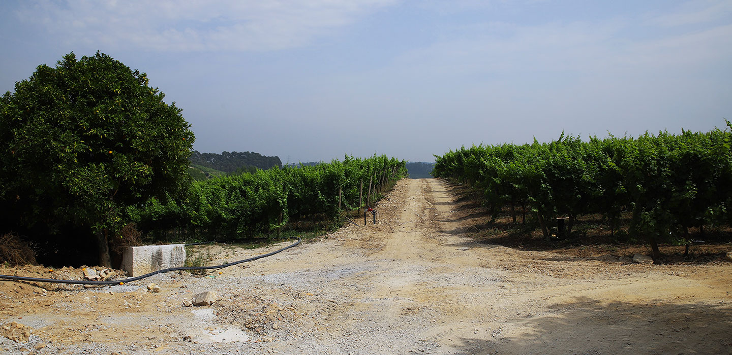 Tourinto-CasadoCanto-02