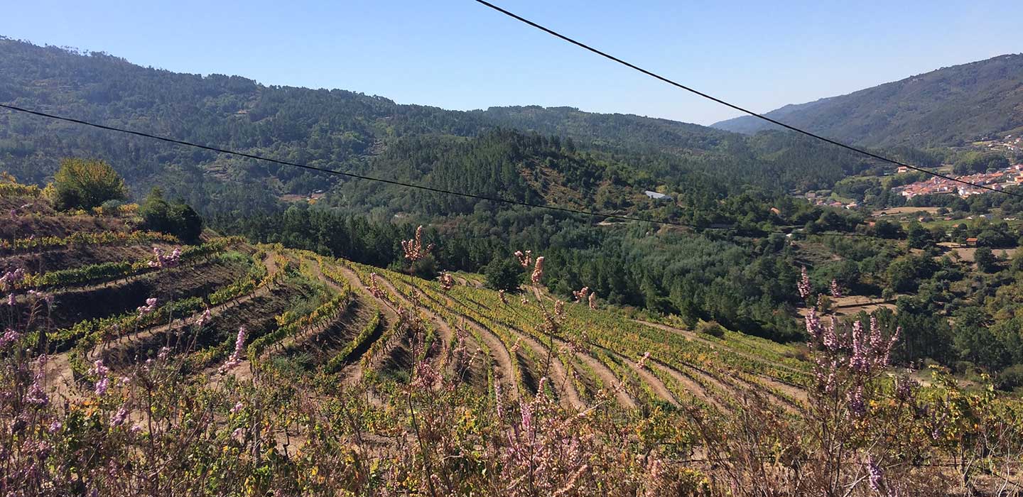 Quinta do Covão Tourinto Quinta do Covão