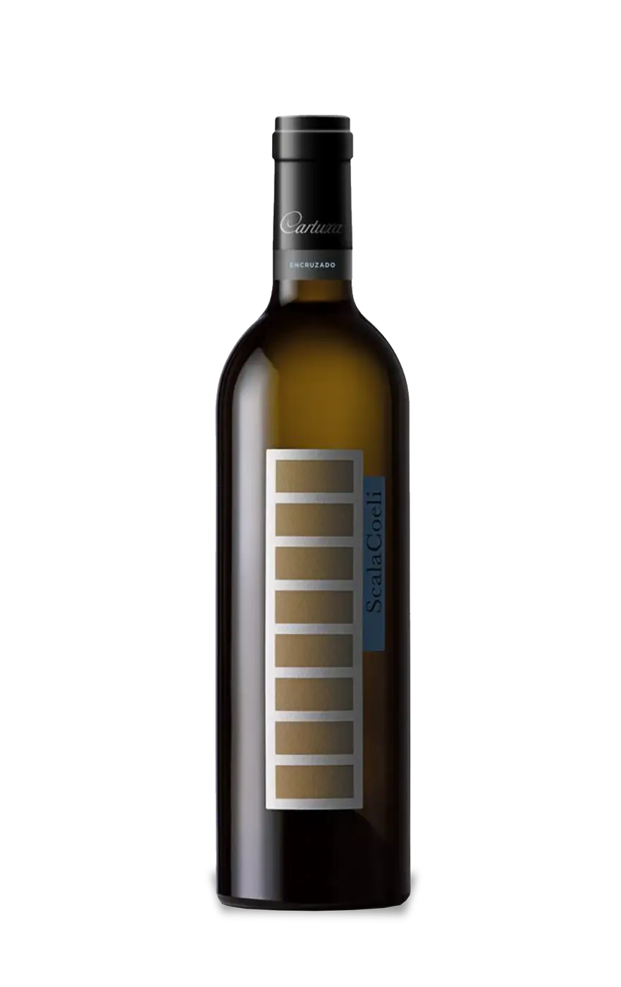 Scala Branco, Scala Coeli Vinho Branco, Scala Coeli Cartuxa, Cartuxa Branco Scala, Vinho Branco Scala
