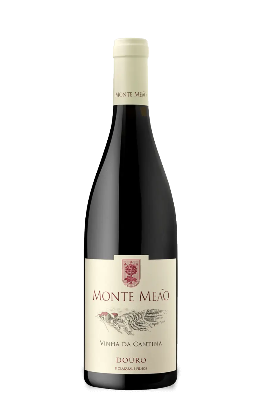 Monte Meão Baga, Vale Meão Baga, Quinta do Vale Meão Baga, Vale Meão Vinho Tinto