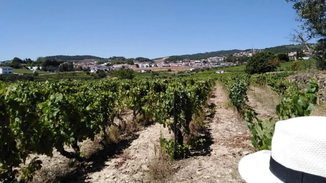 Joana Pinhão Vinhas Vinhos Parapente, Joana Pinhão Vinhos, Parapente Vinhos Verdes, Parapente Trás-os-Montes