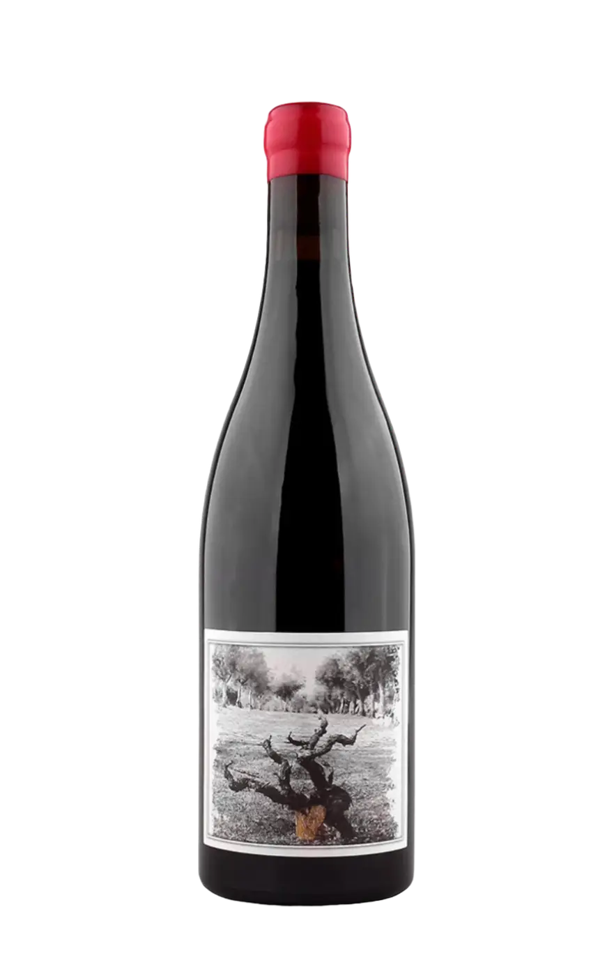 Muleta Red Wine, Muleta Pellada Red, Pellada Red Muleta, Quinta da Pellada Red, Muleta Red Wine