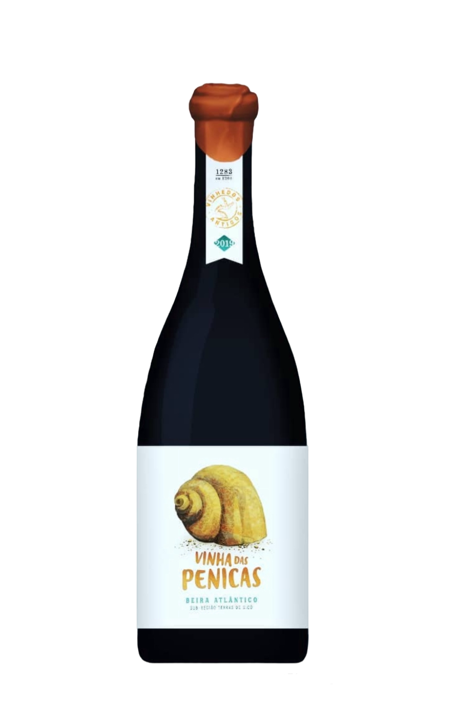 Penicas Branco, Penicas Vinho Branco, Vinho Penicas branco, Vinhos Terras de Sicó, Penicas Beira Atlântico, Penicas White Wine