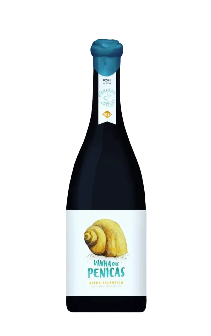Penicas Vinho Tinto, Penicas Tinto, Penicas Red Wine, Penicas Beira Atlântico, Vinho Penicas