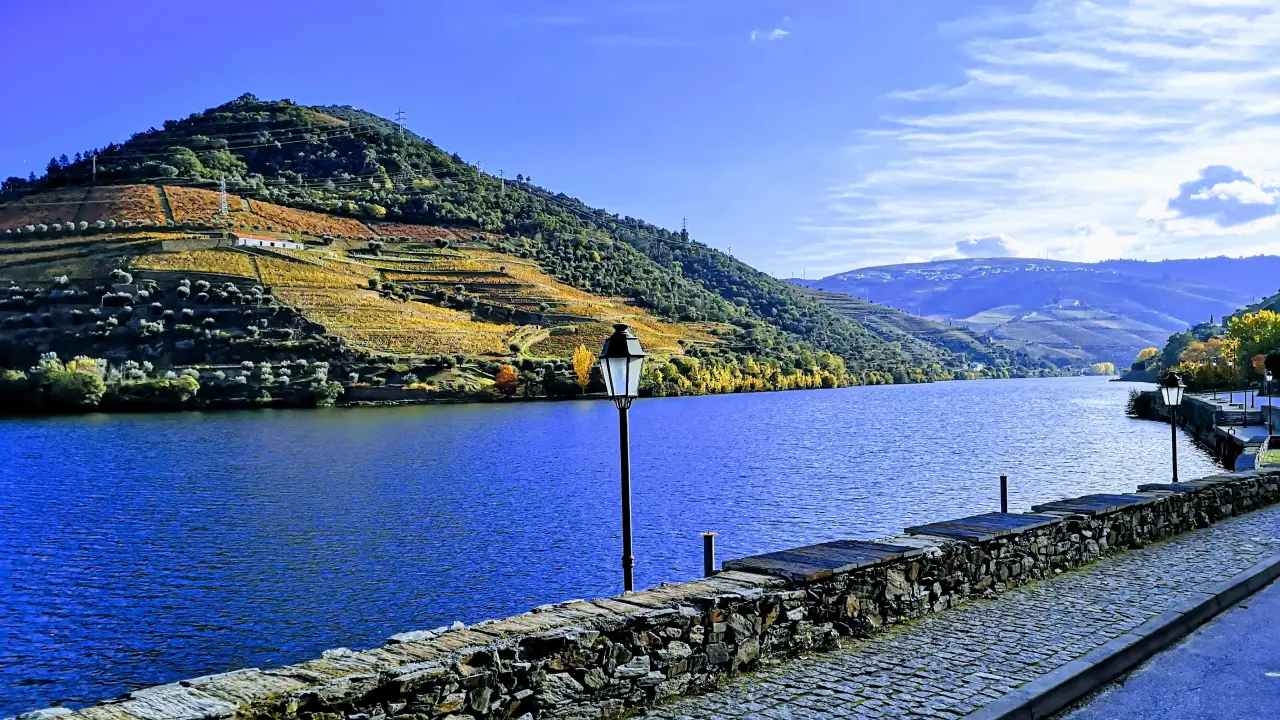 Quinta da Foz Pinhão, Quinta da Foz Douro, Quinta da Fpz Douro Wines, Quinta da Foz Vinhos