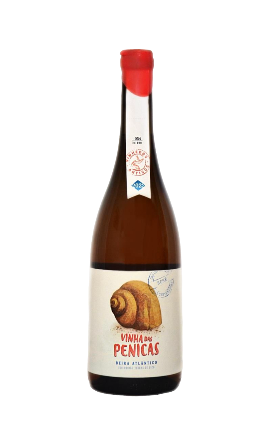 Penicas Rosé, Penicas Vinho Rosé, Vinho Penicas Rosé, Vinhos Terras de Sicó Rosé, Rosé do Penicas