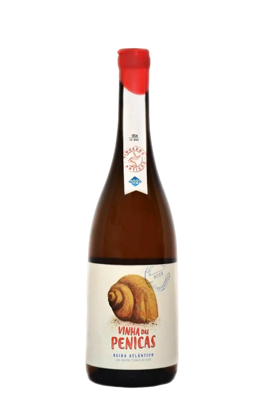 Penicas Rosé, Penicas Vinho Rosé, Vinho Penicas Rosé, Vinhos Terras de Sicó Rosé, Rosé do Penicas