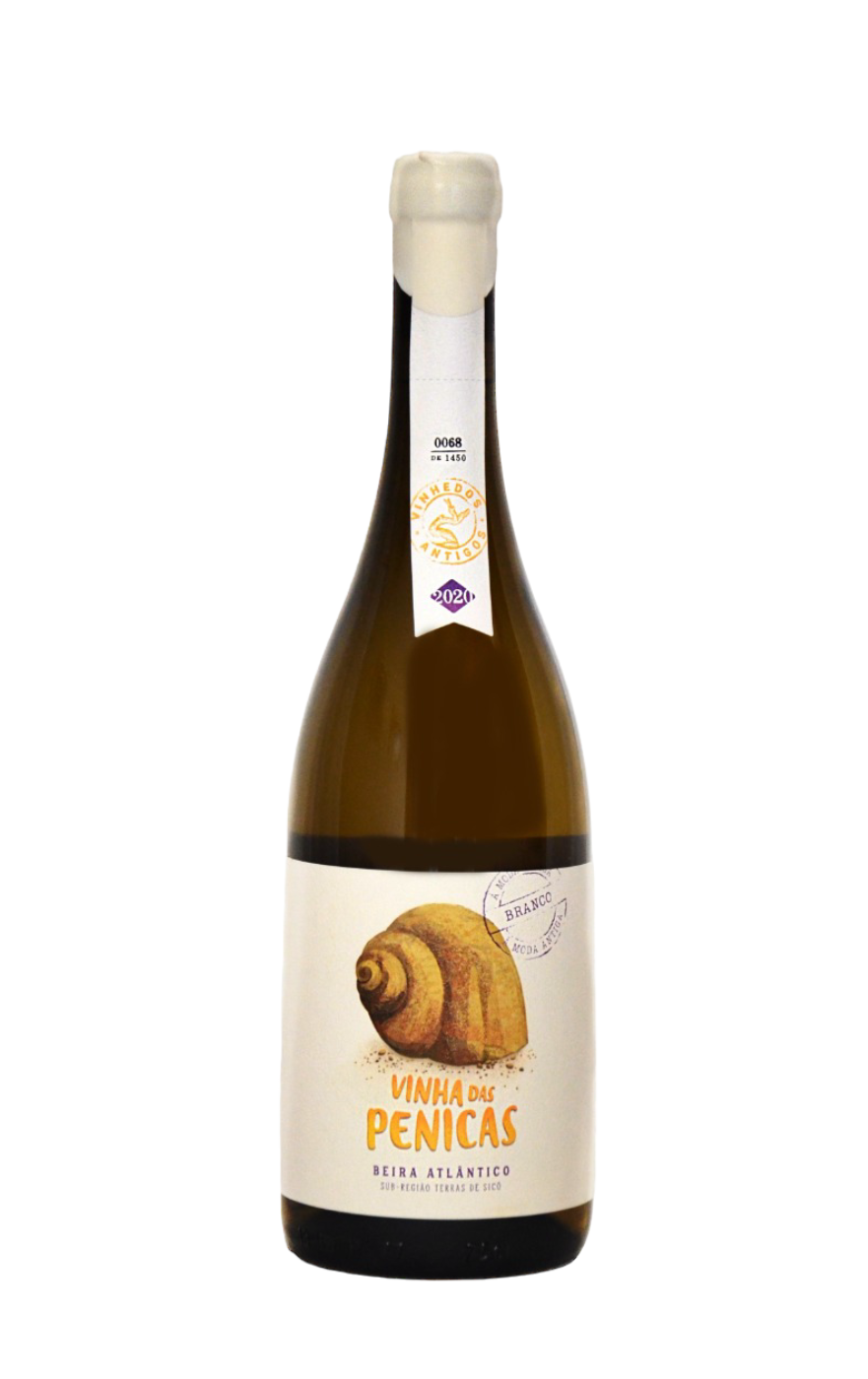 Penicas Curtimenta, Penicas Branco, Penicas White Wine, Penicas Vinho Branco, Penicas Moda Antiga