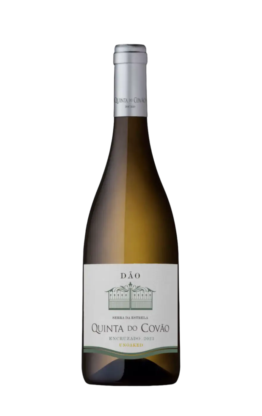 Quinta do Covão Encruzado, Quinta do Covão Vinho Branco, Quinta do Covão White Wine, Covão Encruzado