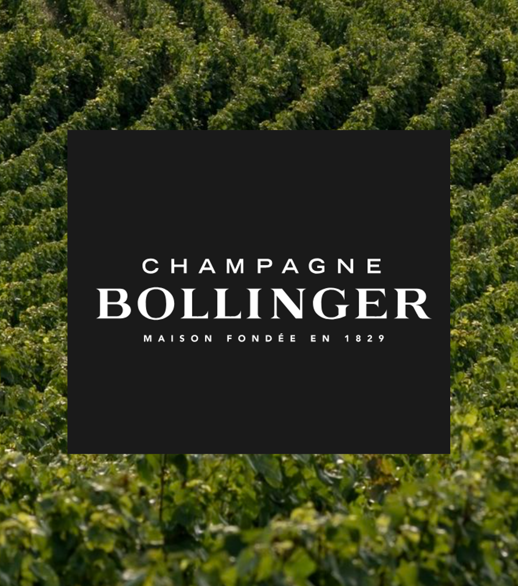 Bollinger