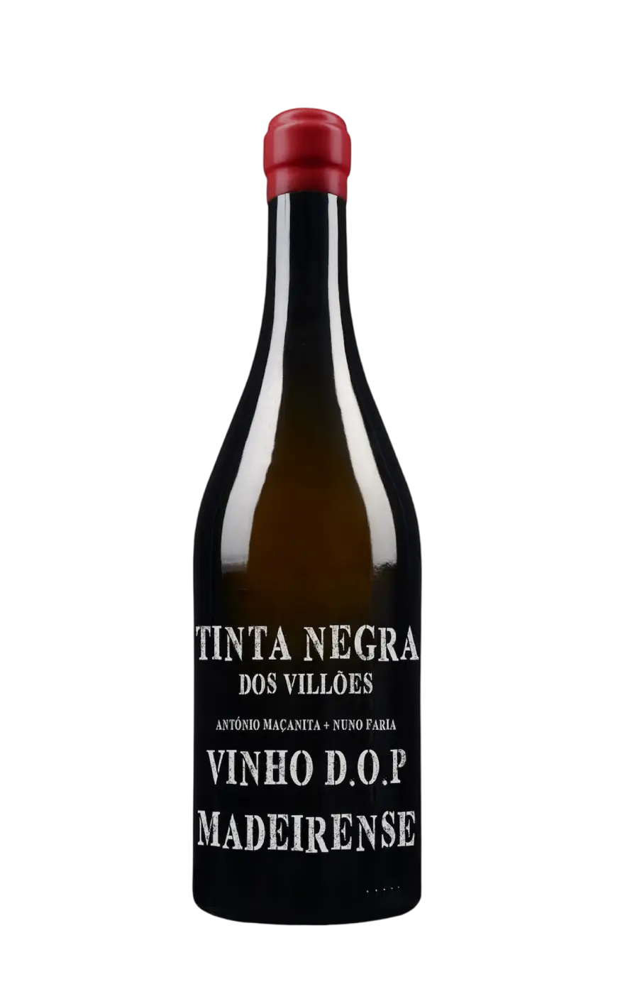Vinho Tinta Negra, Tinta Negra Wine Maçanita, Tinta Negra Madeira, Vinho Tinta Negra dos Vilões