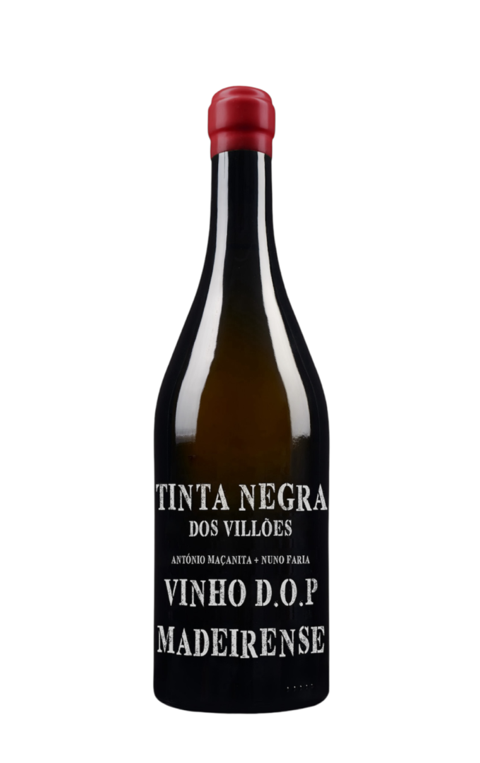 Vinho Tinta Negra, Tinta Negra Wine Maçanita, Tinta Negra Madeira, Vinho Tinta Negra dos Vilões