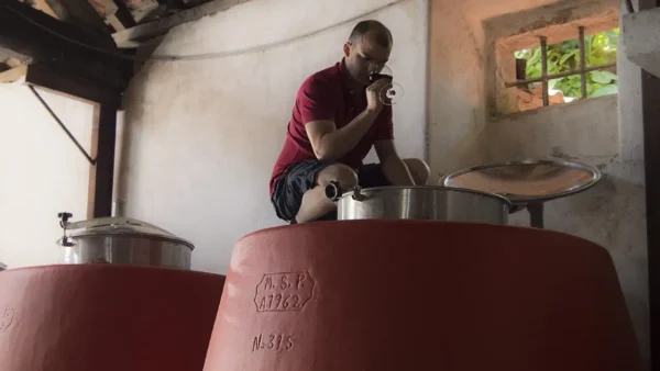 Carlos Raposo Dão, Vinhos Carlos Raposo, Carlos Raposo Vinhos Verdes, Vinhos Imperfeitos, Impecável Vinhos, Vinho Serra da Estrela, World Wines, Vinhos Imperfeitos