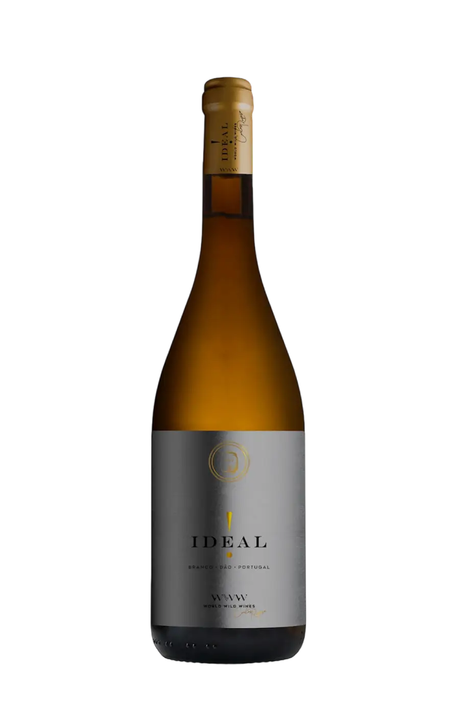 Ideal Vinho Branco, Carlos Raposo Ideal Branco, Carlos Raposo Vinho Branco, Carlos Raposo Vinho do Dão, World Wild Wines Ideal Branco
