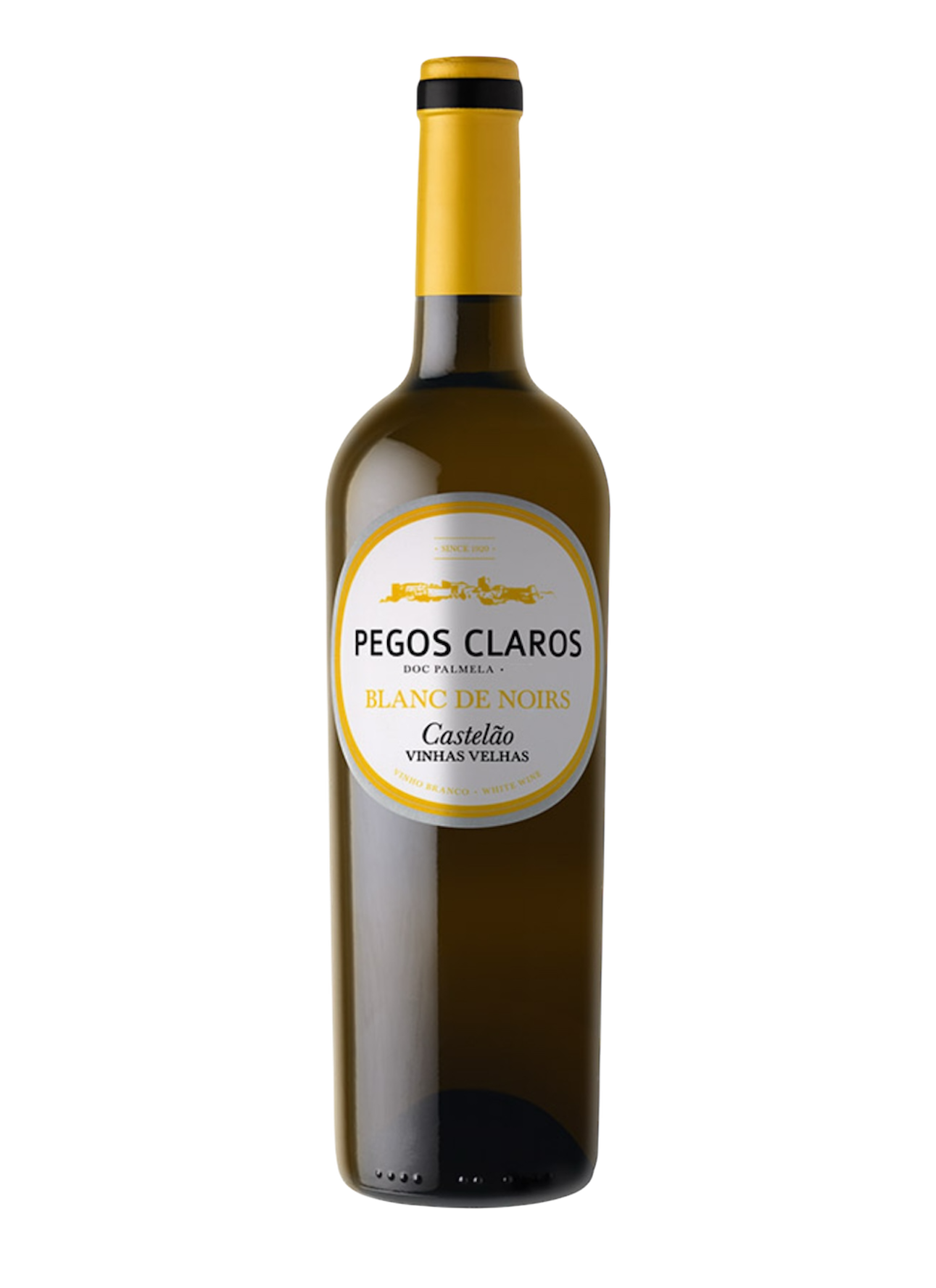 Pegos Claros Branco, Pegos Claros Vinho Branco, Pegos Branco Vinhas Velhas, Pegos Claros Branco de Uvas Tintas, Pegos Claros Branco Castelão, Vinho Branco Castelão, Vinho Branco Pegos Claros