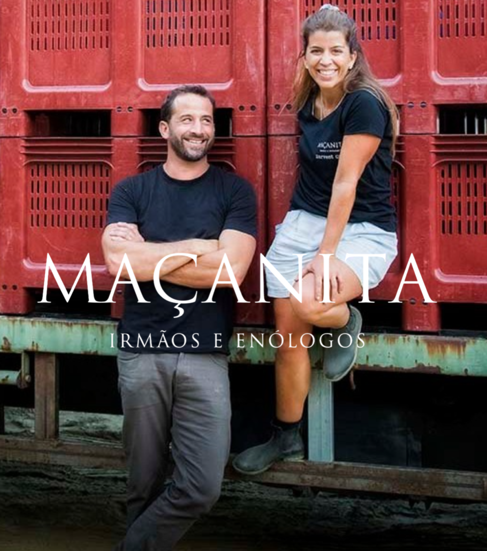 Maçanita Douro Logo Maçanita Irmãos e Enólogos