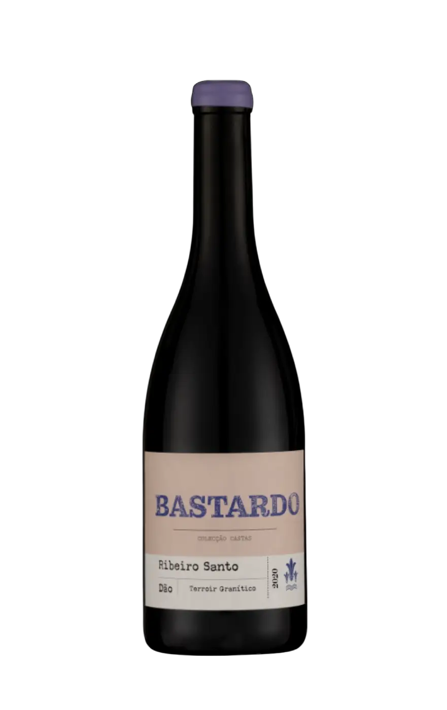 Carlos Lucas Bastardo, Ribeiro Santo Vinho Tinto, Magnum Wines Bastardo, Ribeiro Santo Bastardo Tinto