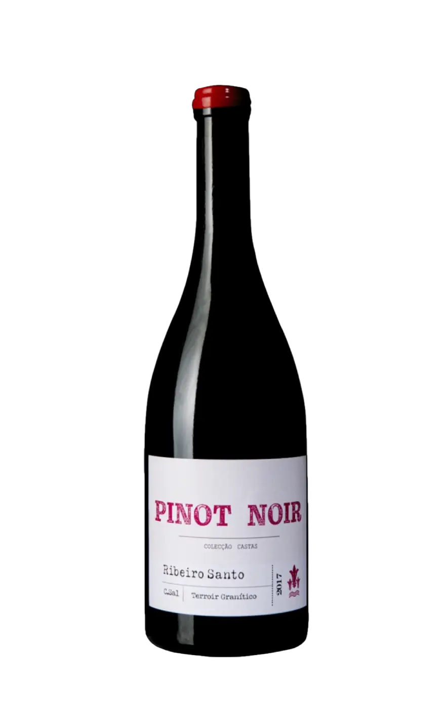 Carlos Lucas Pinot Noir, Magnum Wines Pinot Noir, Carlos Lucas Vinho Tinto, Ribeiro Santo Vinho Tinto Carlos Lucas Pinot Noir