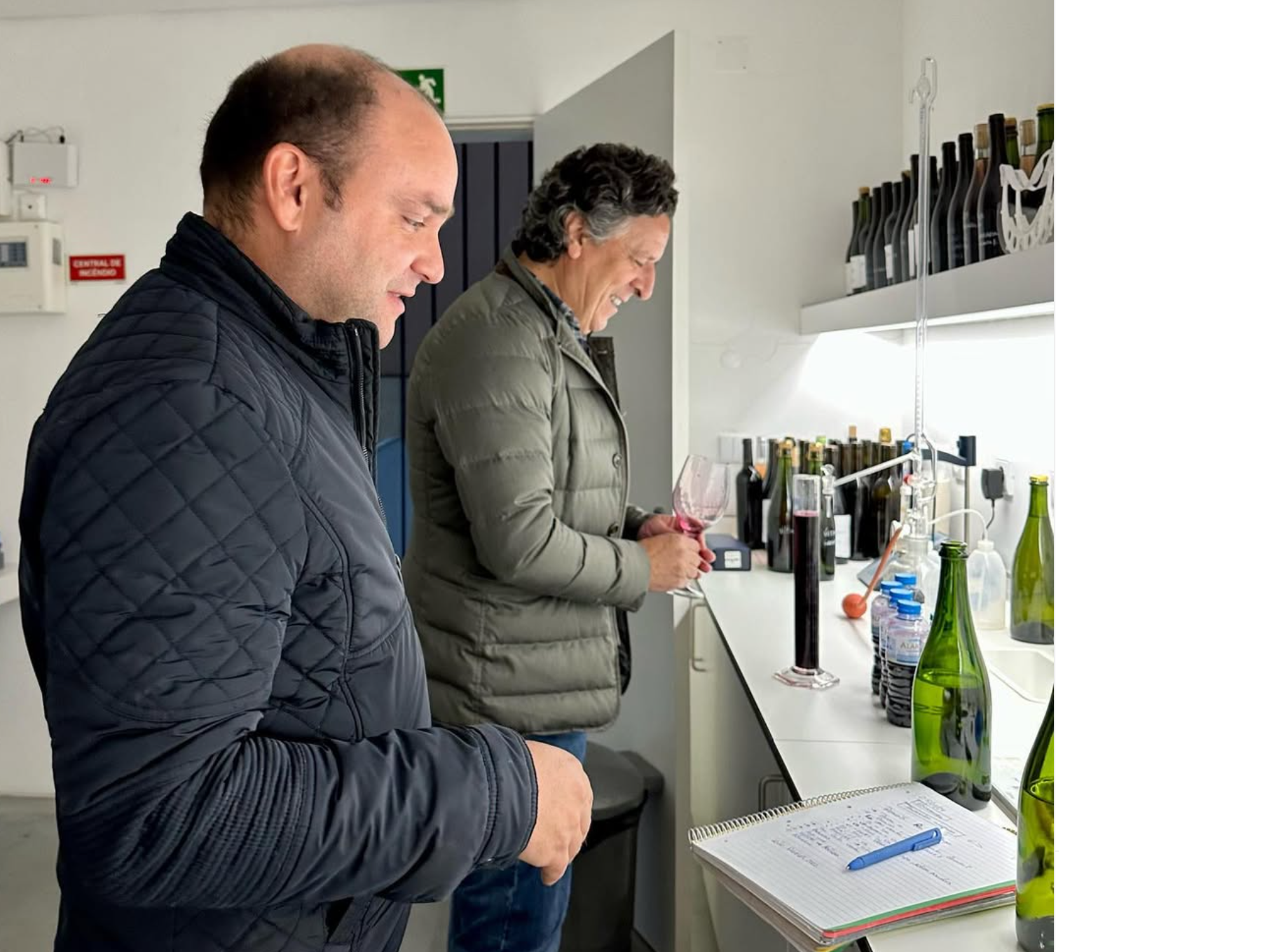 Oenology Adega 23