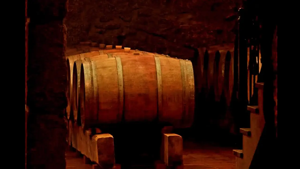 Quinta do Sobral, Sobral Santar Dão, Quinta do Sobral Dão