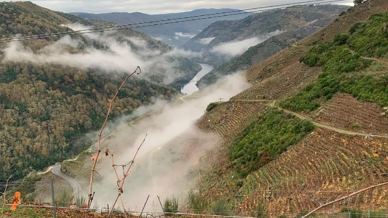 Guímaro Ribeira Sacra, Guímaro Galiza, Bodegas Guímaro Espanha, Guímaro Mencía