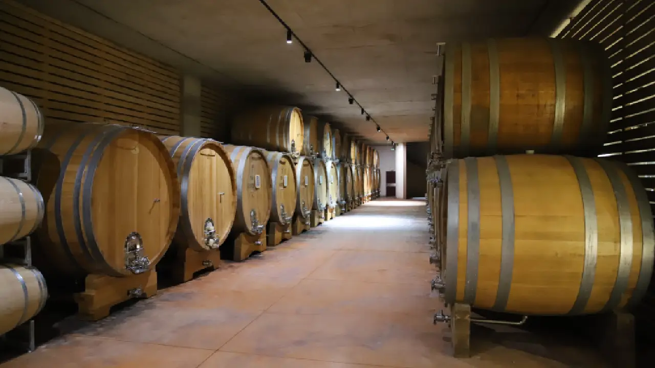 Cantina Ratti Cellar Renato Ratti, Ratti Wines, Ratti La Morra, Ratti Barolo, Ratti Vinhos