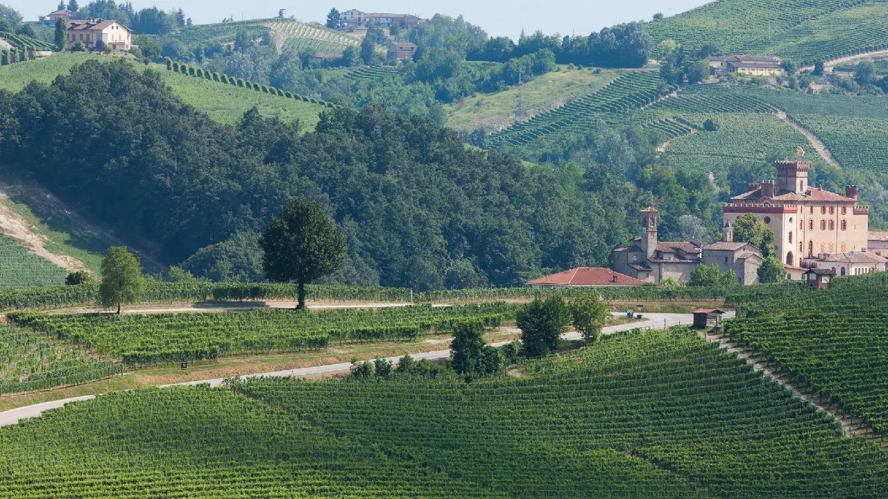 Damilano Cannubi Vineyards Damilano Barolo, Damilano Vinhos, Damilano Itália