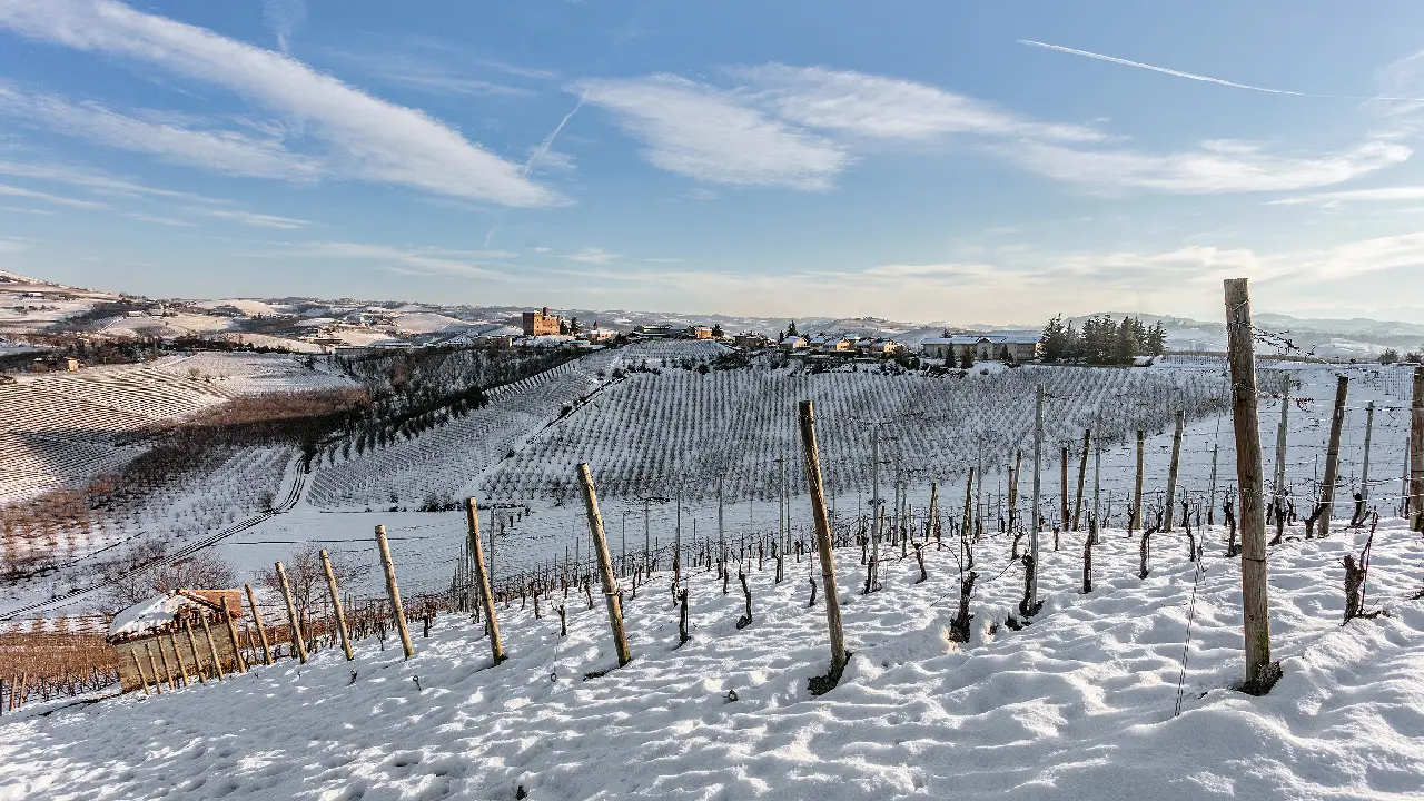 Damilano Vinha de Inverno Damilano Barolo, Damilano Vinhos, Damilano Itália