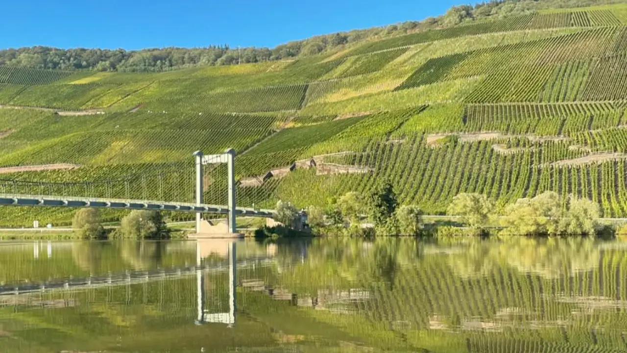 Joh Jos Prüm Riesling, Vinhos Brancos Joh Jos Prüm, Joh Jos Prüm Alemanha, Joh Jos Prüm Vinhos Riesling