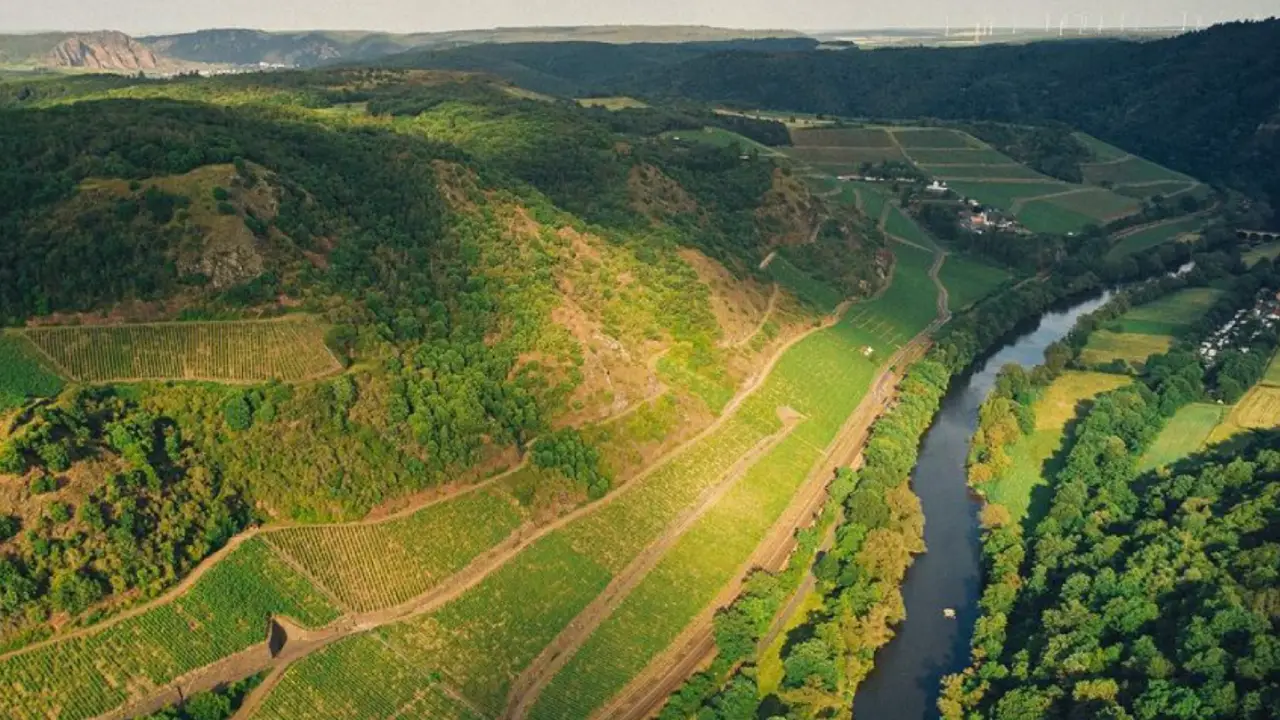 Korrell Riesling, Korrell Nahe, Korrell Alemanha, Vinhos Korrell Alemanha, Vinhos Riesling Alemanha, Vinhos Riesling Korrell