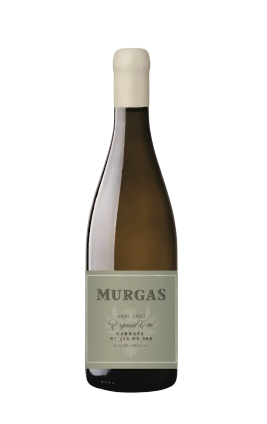 Murgas Branco, Murgas Esgana Cão, Murgas Branco Bucelas, Murgas Esgana Cão Lisboa, Murgas Vinho Branco