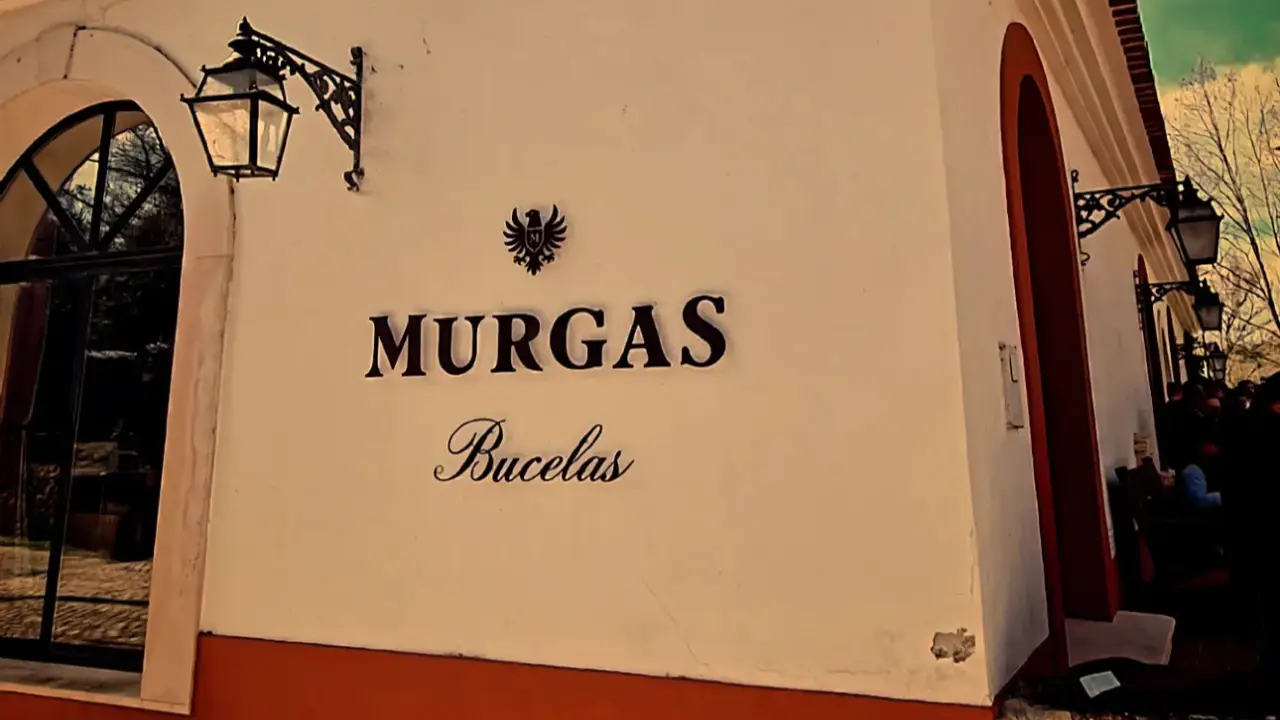Murgas Bucelas, Murgas Lisboa, Quinta Murgas Bucelas, Murgas Arinto Bucelas