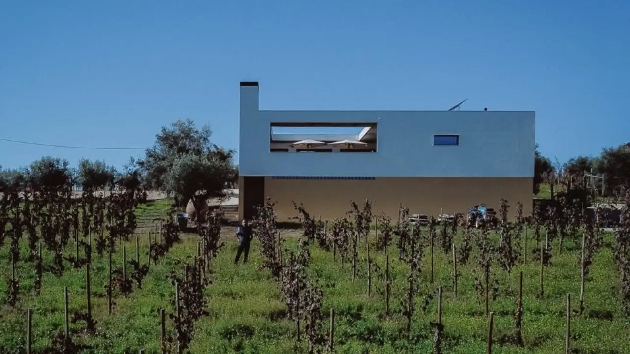 Natus Vini A Adega Natus Alentejo, Hamilton Reis, Vinhos Natus, Vinhos Hamilton Reis, Natus Vini Vidigueira