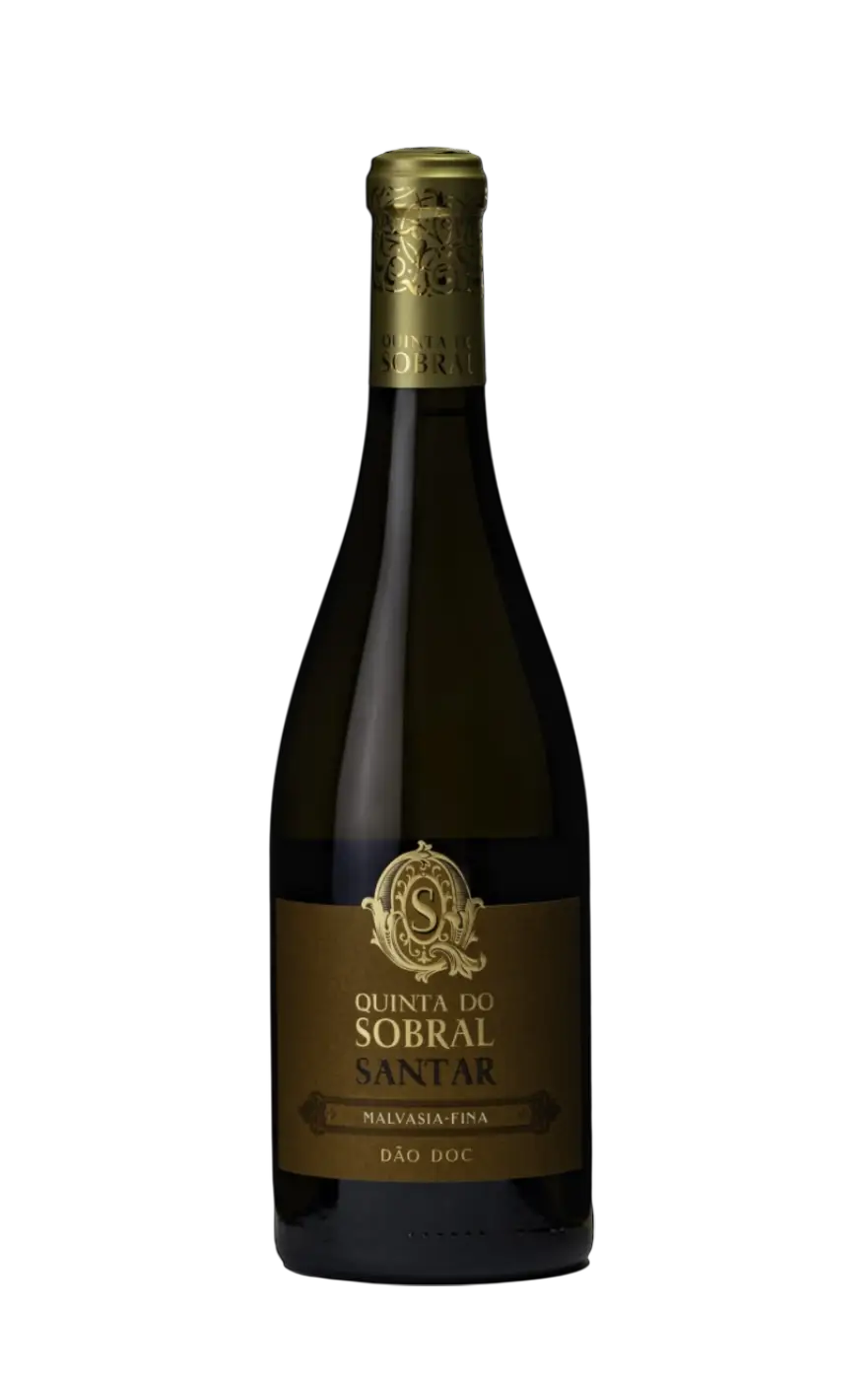 Quinta do Sobral Santar Branco, Quinta do Sobral Malvasia, Sobral de Santar Malvasia, Quinta do Sobral Dão Malvasia Final