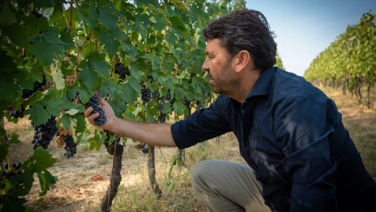 Rocche Costamagna Vinhas Rocche Costamagna Barolo, Costamagna Barolo, Alessandro Locatelli Barolo, Barolo La Morra, Vinhod de Itália