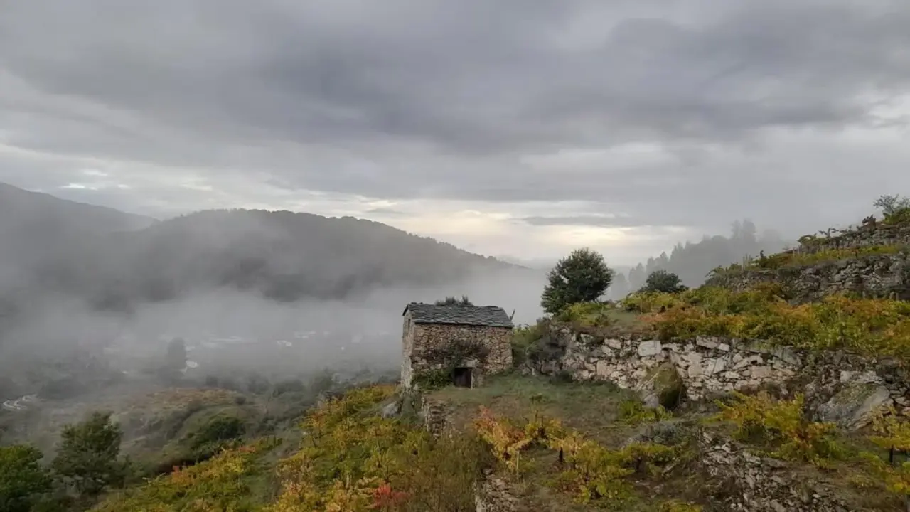 Telmo Rodriguez Galicia Telmo Rodriguez Vinhos, Telmo Rodriguez Vinhas Velhas, Telmo Rodriguez Espanha