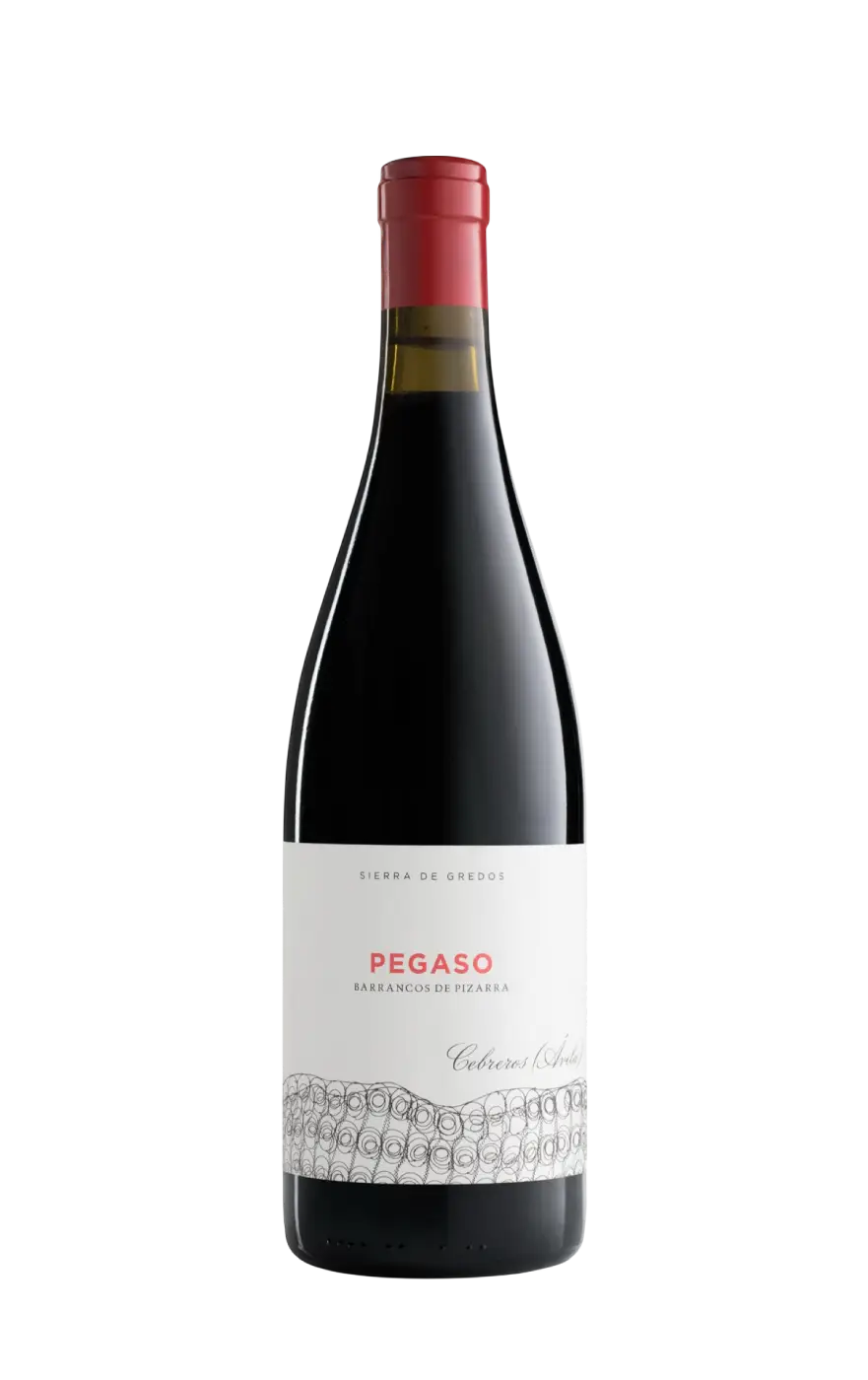 Pagaso Pizarra, Telmo Rodriguez Pegaso Pizarra, Pegaso Pizarra Tinto, Vinhos Tinto Pegaso Pizarra