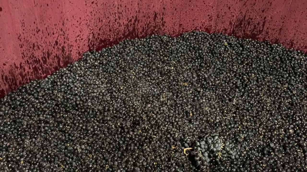Telmo Rodriguez Uvas Telmo Rodriguez Vinhos, Telmo Rodriguez Vinhas Velhas, Telmo Rodriguez Espanha