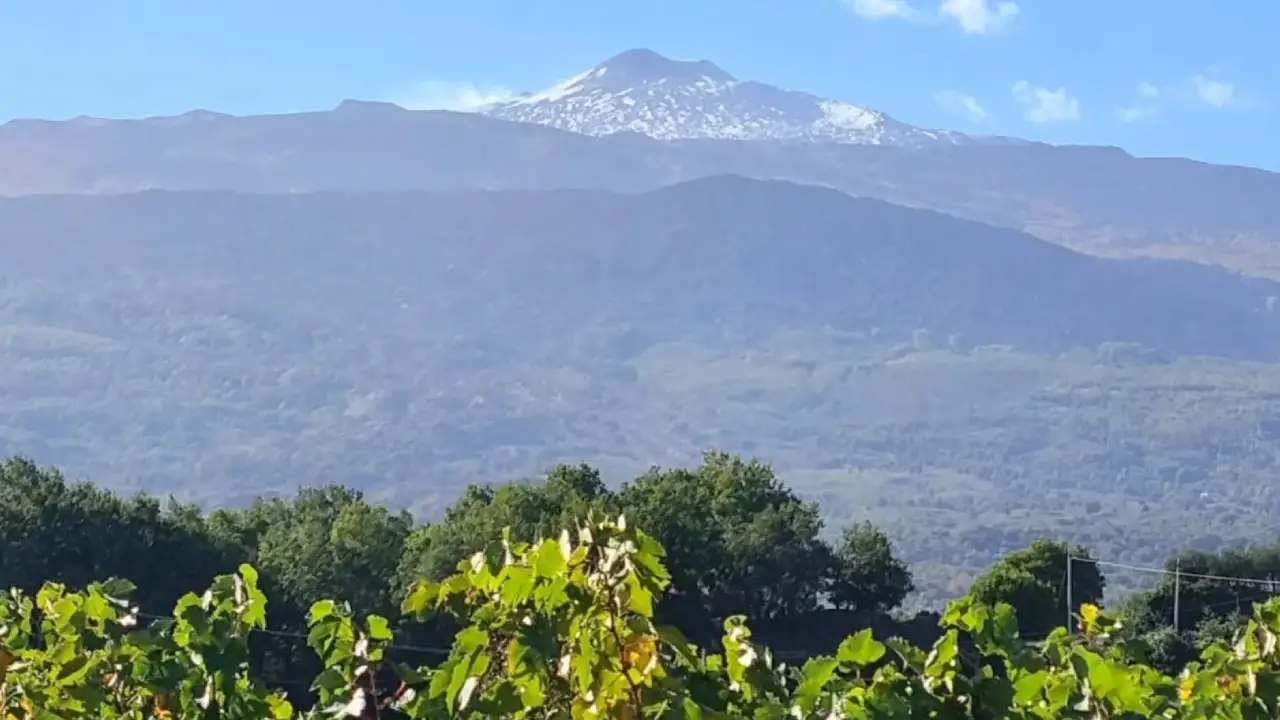 Tenuta Delle Terre Nere Etna Terre Nere Etna, Terre Nere Sicilia, Terre Nere Itália, Vinhos Terre Nere