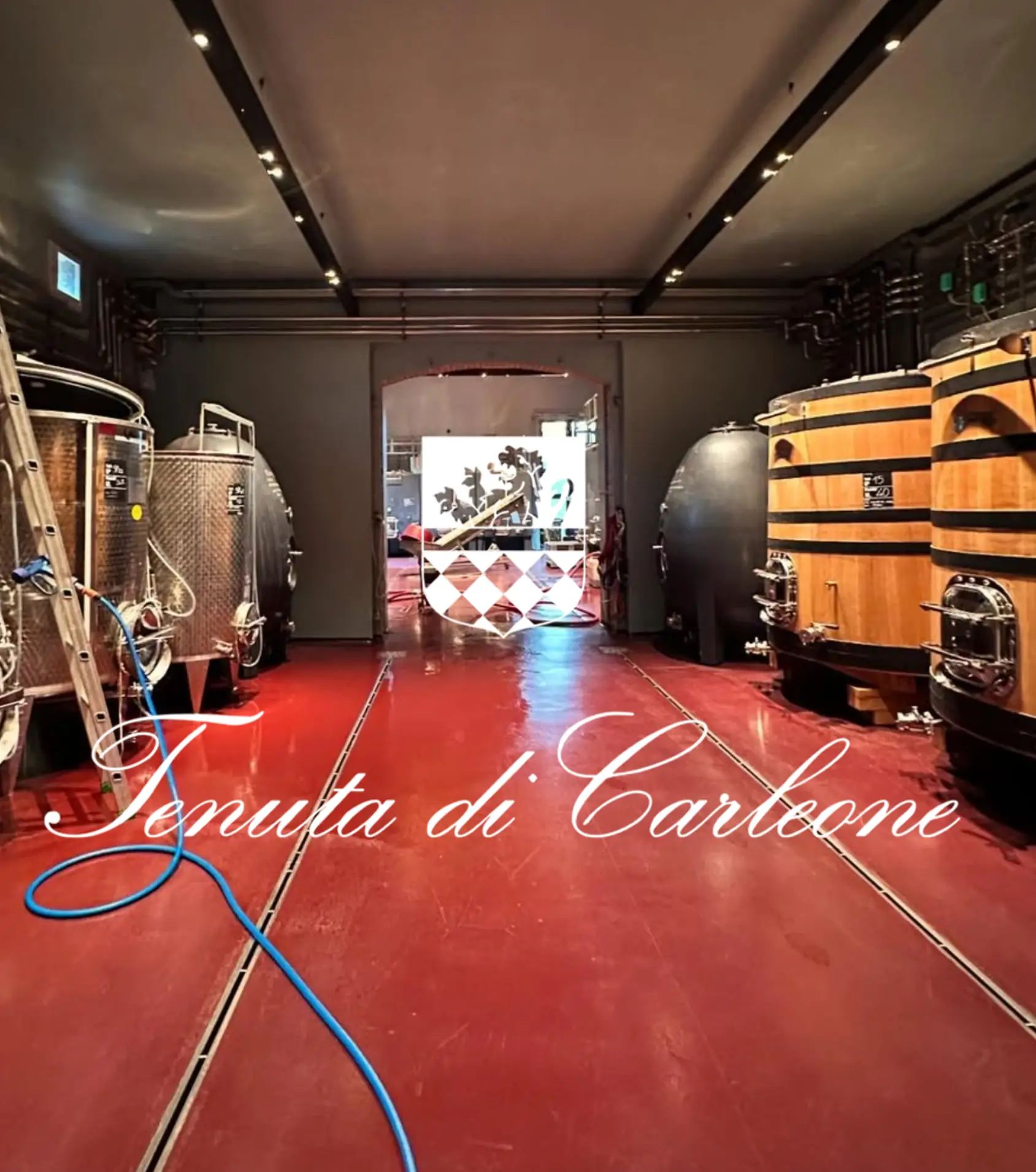 Tenuta Carleone Toscana, Tenuta di Carleone Chianti, Tenuta di Carleone Sangiovese, Vinhos Tenuta di Carleone, Tenuta di Carleone Itália