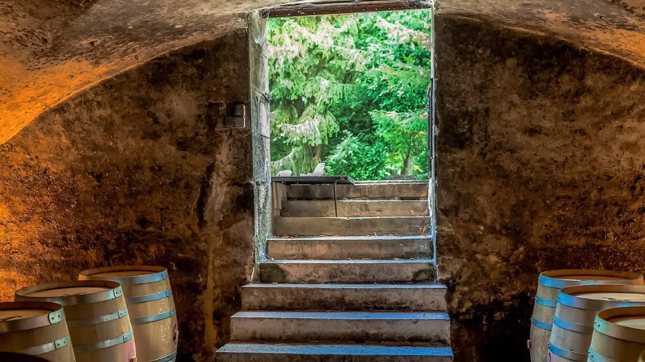 Château de Charodon Adega Château de Charodon Borgonha, Charodon Borgonha, Vinhos Château de Charodon, Château de Charodon Vinhos da Borgonha