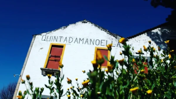 Quinta da Manoella Wine & Soul Douro, Qine & Soul Quinta da Manoella, Wine & Soul Douro, Wine & Soul Vinhos do Douro