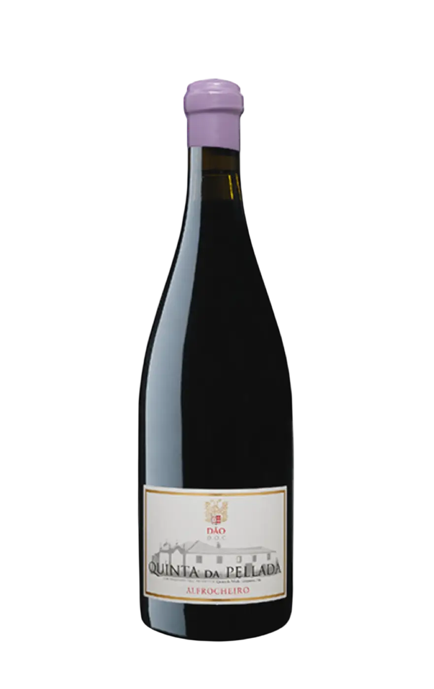 Pellada Alfrocheiro, Quinta da Pellada Red Alfrocheiro, Alfrocheiro Pellada, Red Wine Alfrocheiro Pellada