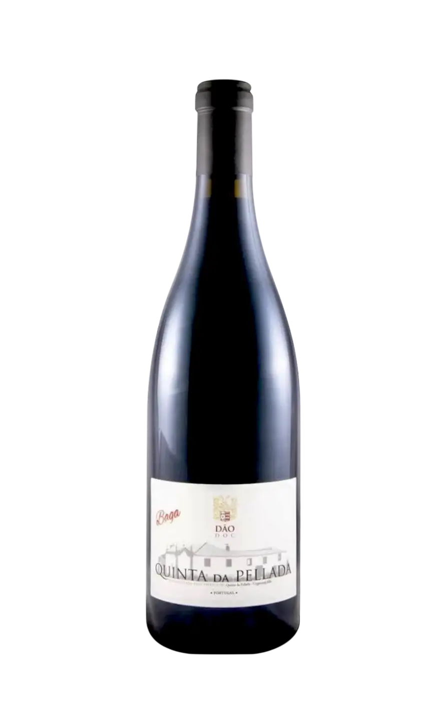 Pellada Baga, Quinta da Pellada Tinto Baga, Baga Pellada, Vinho Tinto Baga Pellada