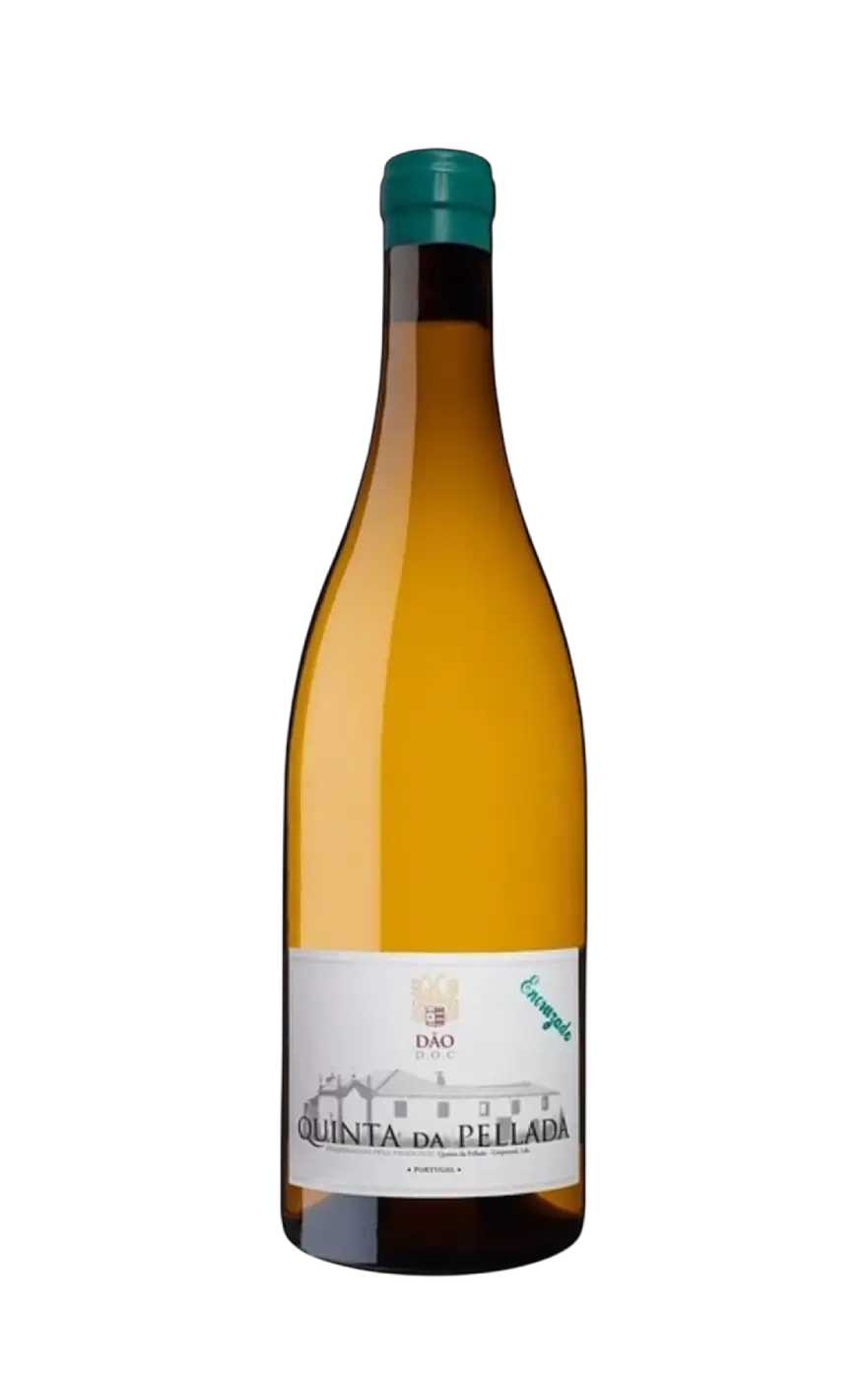 Pellada Encruzado, Quinta da Pellada Branco Encruzado, Encruzado Pellada, Vinho Branco Encruzado Pellada