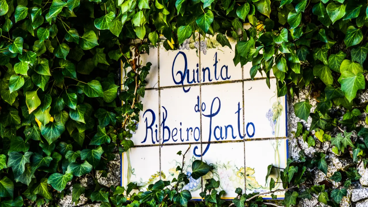 Ribeiro Santo Quinta Magnum Ribeiro Santo, Vinhos Ribeiro Santo, Ribeiro Santo Dão, Magnum Dão