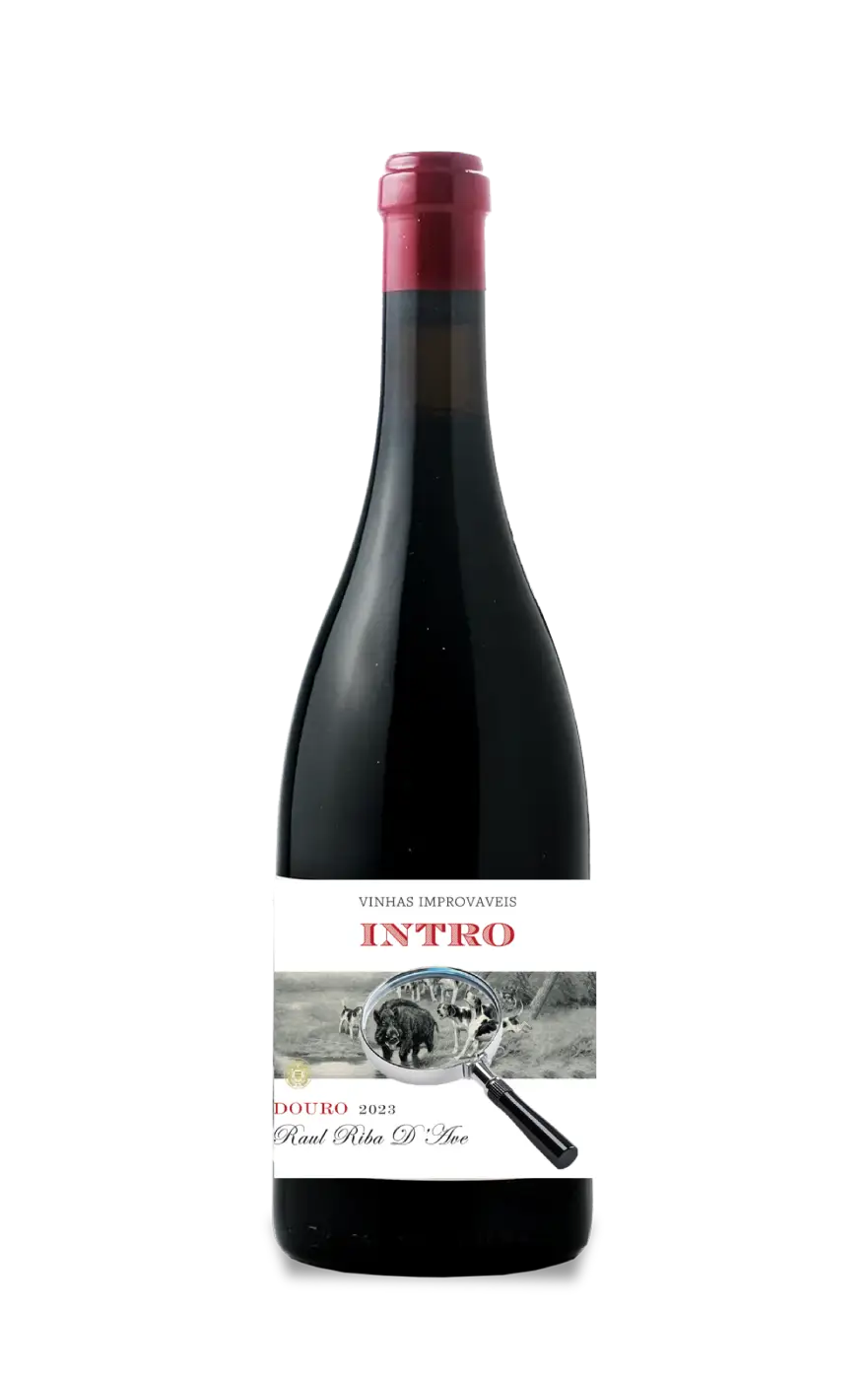 Vinhas Improváveis, Raul Riba D´Ave Intro, Intro Tinto Vinhas Improváveis, Vinho Tinto Intro