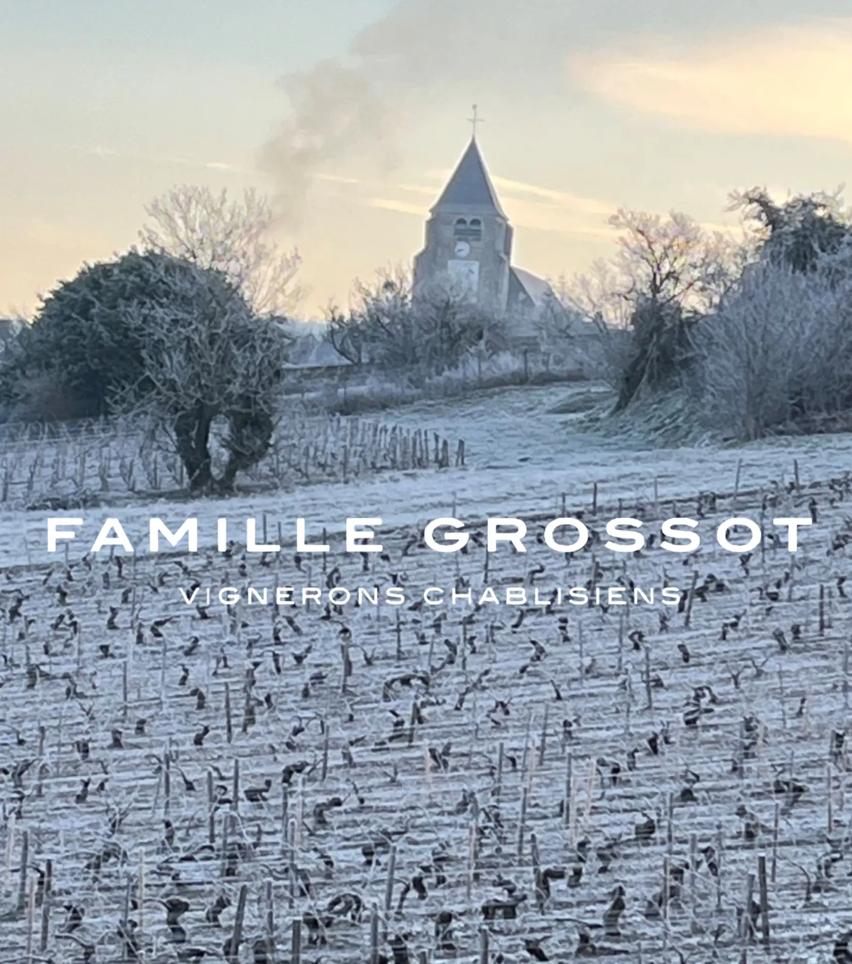 Grossot Chardonnay, Grossot Chablis, Grossot Vinho Branco, Domaine Grossot Chablis