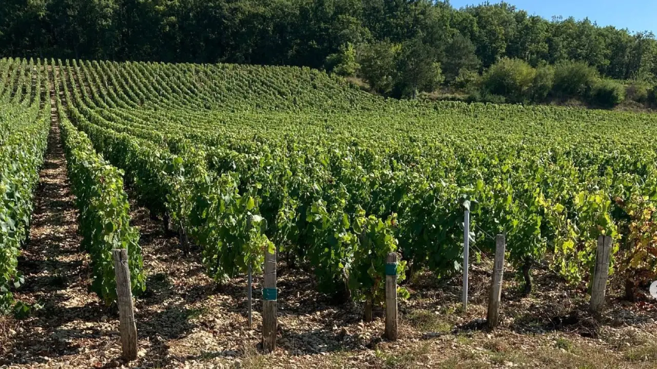 Famille Grossot